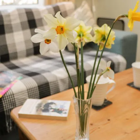 Semesterbostad Cosy *